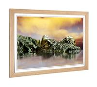 Big Box Art Framed Print of Crocodile Eye (2) Design | Wall Art Picture | Home Decor for Kitchen, Living, Dining Room, Lounge, Bedroom, Hallway, Office, Oak, A2 / 24.5x18 Inch / 62x45cm