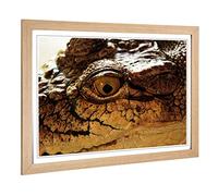 Big Box Art Framed Print of Crocodile Eye Design | Wall Art Picture | Home Decor for Kitchen, Living, Dining Room, Lounge, Bedroom, Hallway, Office, Oak, A2 / 24.5x18 Inch / 62x45cm