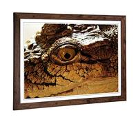 Big Box Art Framed Print of Crocodile Eye Design | Wall Art Picture | Home Decor for Kitchen, Living, Dining Room, Lounge, Bedroom, Hallway, Office, Walnut, A2 / 24.5x18 Inch / 62x45cm
