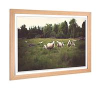 Big Box Art Framed Print of Curious Sheep Landscape Design | Wall Art Picture | Home Decor for Kitchen, Living, Dining Room, Bedroom, Hallway, Office, Oak, A2 / 24.5x18 Inch / 62x45cm