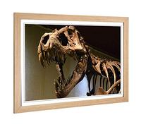 Big Box Art Framed Print of Dinosaur Skeleton T Rex Design | Wall Art Picture | Home Decor for Kitchen, Living, Dining Room, Bedroom, Hallway, Office, Oak, A2 / 24.5x18 Inch / 62x45cm