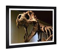 Big Box Art Framed Print of Dinosaur Skeleton T Rex Design | Wall Art Picture | Home Decor for Kitchen, Living, Dining Room, Bedroom, Hallway, Office, Black, A2 / 24.5x18 Inch / 62x45cm
