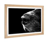 Big Box Art Framed Print of Dog Nose Snout Design | Wall Art Picture | Home Decor for Kitchen, Living, Dining Room, Lounge, Bedroom, Hallway, Office, Oak, A2 / 24.5x18 Inch / 62x45cm