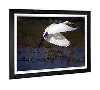 Big Box Art Framed Print of Egret Bird Design | Wall Art Picture | Home Decor for Kitchen, Living, Dining Room, Lounge, Bedroom, Hallway, Office, Black, A2 / 24.5x18 Inch / 62x45cm