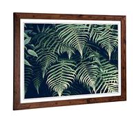 Big Box Art Framed Print of Fern Leafs Design | Wall Art Picture | Home Decor for Kitchen, Living, Dining Room, Lounge, Bedroom, Hallway, Office, Walnut, A2 / 24.5x18 Inch / 62x45cm