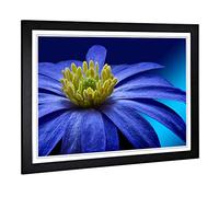 Big Box Art Framed Print of Flower Blue Design | Wall Art Picture | Home Decor for Kitchen, Living, Dining Room, Lounge, Bedroom, Hallway, Office, Black, A2 / 24.5x18 Inch / 62x45cm