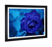 Big Box Art Framed Print of Flower Blue Rose (2) Design | Wall Art Picture | Home Decor for Kitchen, Living, Dining Room, Lounge, Bedroom, Hallway, Office, Black, A2 / 24.5x18 Inch / 62x45cm