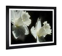 Big Box Art Framed Print of Flower Daffodil White Design | Wall Art Picture | Home Decor for Kitchen, Living, Dining Room, Lounge, Bedroom, Hallway, Office, Black, A2 / 24.5x18 Inch / 62x45cm