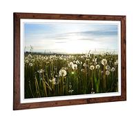 Big Box Art Framed Print of Flower Dandelion Meadow Design | Wall Art Picture | Home Decor for Kitchen, Living, Dining Room, Bedroom, Hallway, Office, Walnut, A2 / 24.5x18 Inch / 62x45cm
