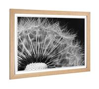 Big Box Art Framed Print of Flower Dandelion Seeds 2 Design | Wall Art Picture | Home Decor for Kitchen, Living, Dining Room, Bedroom, Hallway, Office, Oak, A2 / 24.5x18 Inch / 62x45cm
