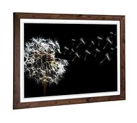 Big Box Art Framed Print of Flower Dandelion Seeds (3) Design | Wall Art Picture | Home Decor for Kitchen, Living, Dining Room, Bedroom, Hallway, Office, Walnut, A2 / 24.5x18 Inch / 62x45cm