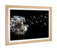 Big Box Art Framed Print of Flower Dandelion Seeds (3) Design | Wall Art Picture | Home Decor for Kitchen, Living, Dining Room, Bedroom, Hallway, Office, Oak, A2 / 24.5x18 Inch / 62x45cm