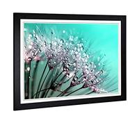 Big Box Art Framed Print of Flower Dandelion Seeds (5) Design | Wall Art Picture | Home Decor for Kitchen, Living, Dining Room, Bedroom, Hallway, Office, Black, A2 / 24.5x18 Inch / 62x45cm