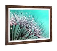 Big Box Art Framed Print of Flower Dandelion Seeds (5) Design | Wall Art Picture | Home Decor for Kitchen, Living, Dining Room, Bedroom, Hallway, Office, Walnut, A2 / 24.5x18 Inch / 62x45cm