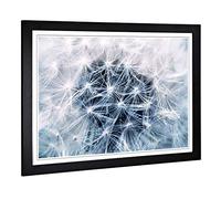 Big Box Art Framed Print of Flower Dandelion Seeds Design | Wall Art Picture | Home Decor for Kitchen, Living, Dining Room, Lounge, Bedroom, Hallway, Office, Black, A2 / 24.5x18 Inch / 62x45cm