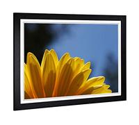 Big Box Art Framed Print of Flower Yellow Daisy Design | Wall Art Picture | Home Decor for Kitchen, Living, Dining Room, Lounge, Bedroom, Hallway, Office, Black, A2 / 24.5x18 Inch / 62x45cm
