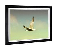 Big Box Art Framed Print of Flying Bird (2) Design | Wall Art Picture | Home Decor for Kitchen, Living, Dining Room, Lounge, Bedroom, Hallway, Office, Black, A2 / 24.5x18 Inch / 62x45cm