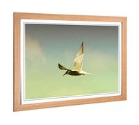 Big Box Art Framed Print of Flying Bird (2) Design | Wall Art Picture | Home Decor for Kitchen, Living, Dining Room, Lounge, Bedroom, Hallway, Office, Oak, A2 / 24.5x18 Inch / 62x45cm