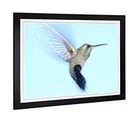 Big Box Art Framed Print of Flying Hummingbird Bird (2) Design | Wall Art Picture | Home Decor for Kitchen, Living, Dining Room, Bedroom, Hallway, Office, Black, A2 / 24.5x18 Inch / 62x45cm