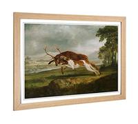 Big Box Art Framed Print of George Stubbs English Hound with a Stag Design | Wall Art Picture | Home Decor for Kitchen, Living Room, Bedroom, Hallway, Oak, A2 / 24.5x18 Inch / 62x45cm