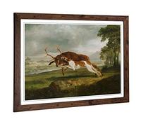 Big Box Art Framed Print of George Stubbs English Hound with a Stag Design | Wall Art Picture | Home Decor for Kitchen, Living Room, Bedroom, Hallway, Walnut, A2 / 24.5x18 Inch / 62x45cm