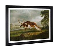 Big Box Art Framed Print of George Stubbs English Hound with a Stag Design | Wall Art Picture | Home Decor for Kitchen, Living Room, Bedroom, Hallway, Black, A2 / 24.5x18 Inch / 62x45cm