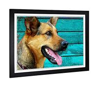 Big Box Art Framed Print of German Shepherd Alsation Dog 2 Design | Wall Art Picture | Home Decor for Kitchen, Living, Dining Room, Bedroom, Hallway, Office, Black, A2 / 24.5x18 Inch / 62x45cm