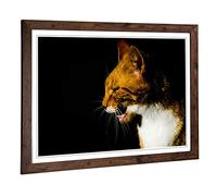 Big Box Art Framed Print of Ginger Cat Design | Wall Art Picture | Home Decor for Kitchen, Living, Dining Room, Lounge, Bedroom, Hallway, Office, Walnut, A2 / 24.5x18 Inch / 62x45cm