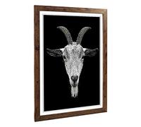 Big Box Art Framed Print of Goat Horns Design | Wall Art Picture | Home Decor for Kitchen, Living, Dining Room, Lounge, Bedroom, Hallway, Office, Walnut, A2 / 24.5x18 Inch / 62x45cm