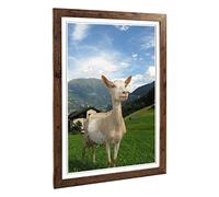 Big Box Art Framed Print of Goat in Austria Mountain Landscape Design | Wall Art Picture | Home Decor for Kitchen, Living Room, Bedroom, Hallway, Walnut, A2 / 24.5x18 Inch / 62x45cm