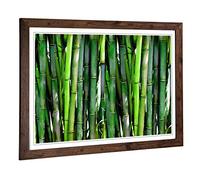 Big Box Art Framed Print of Green Bamboo Cane Forest Design | Wall Art Picture | Home Decor for Kitchen, Living, Dining Room, Bedroom, Hallway, Office, Walnut, A2 / 24.5x18 Inch / 62x45cm