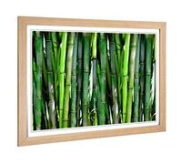 Big Box Art Framed Print of Green Bamboo Cane Forest Design | Wall Art Picture | Home Decor for Kitchen, Living, Dining Room, Bedroom, Hallway, Office, Oak, A2 / 24.5x18 Inch / 62x45cm