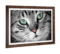 Big Box Art Framed Print of Green Eyed Cat Design | Wall Art Picture | Home Decor for Kitchen, Living, Dining Room, Lounge, Bedroom, Hallway, Office, Walnut, A2 / 24.5x18 Inch / 62x45cm