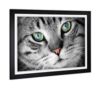 Big Box Art Framed Print of Green Eyed Cat Design | Wall Art Picture | Home Decor for Kitchen, Living, Dining Room, Lounge, Bedroom, Hallway, Office, Black, A2 / 24.5x18 Inch / 62x45cm