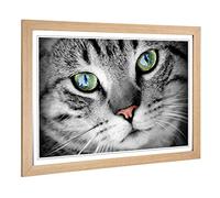 Big Box Art Framed Print of Green Eyed Cat Design | Wall Art Picture | Home Decor for Kitchen, Living, Dining Room, Lounge, Bedroom, Hallway, Office, Oak, A2 / 24.5x18 Inch / 62x45cm