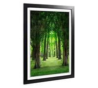 Big Box Art Framed Print of Green Forest Woodland Trees Landscape Design | Wall Art Picture | Home Decor for Kitchen, Living Room, Bedroom, Hallway, Black, A2 / 24.5x18 Inch / 62x45cm