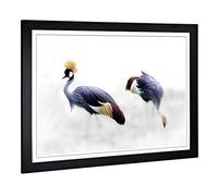Big Box Art Framed Print of Grey Crowned Cranes Bird Design | Wall Art Picture | Home Decor for Kitchen, Living, Dining Room, Bedroom, Hallway, Office, Black, A2 / 24.5x18 Inch / 62x45cm