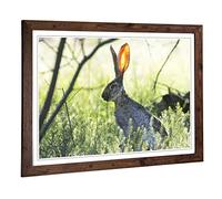 Big Box Art Framed Print of Hare in The Meadow Design | Wall Art Picture | Home Decor for Kitchen, Living, Dining Room, Lounge, Bedroom, Hallway, Office, Walnut, A2 / 24.5x18 Inch / 62x45cm