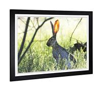 Big Box Art Framed Print of Hare in The Meadow Design | Wall Art Picture | Home Decor for Kitchen, Living, Dining Room, Lounge, Bedroom, Hallway, Office, Black, A2 / 24.5x18 Inch / 62x45cm