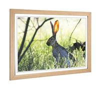 Big Box Art Framed Print of Hare in The Meadow Design | Wall Art Picture | Home Decor for Kitchen, Living, Dining Room, Lounge, Bedroom, Hallway, Office, Oak, A2 / 24.5x18 Inch / 62x45cm