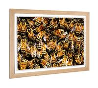 Big Box Art Framed Print of Honey Bee Design | Wall Art Picture | Home Decor for Kitchen, Living, Dining Room, Lounge, Bedroom, Hallway, Office, Oak, A2 / 24.5x18 Inch / 62x45cm