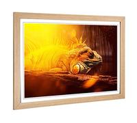 Big Box Art Framed Print of Iguana Lizard 2 Design | Wall Art Picture | Home Decor for Kitchen, Living, Dining Room, Lounge, Bedroom, Hallway, Office, Oak, A2 / 24.5x18 Inch / 62x45cm
