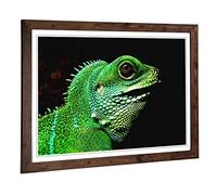 Big Box Art Framed Print of Iguana Lizard Design | Wall Art Picture | Home Decor for Kitchen, Living, Dining Room, Lounge, Bedroom, Hallway, Office, Walnut, A2 / 24.5x18 Inch / 62x45cm