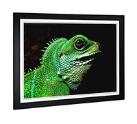 Big Box Art Framed Print of Iguana Lizard Design | Wall Art Picture | Home Decor for Kitchen, Living, Dining Room, Lounge, Bedroom, Hallway, Office, Black, A2 / 24.5x18 Inch / 62x45cm