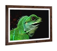 Big Box Art Framed Print of Iguana Lizard Design | Wall Art Picture | Home Decor for Kitchen, Living, Dining Room, Lounge, Bedroom, Hallway, Office, Walnut, A2 / 24.5x18 Inch / 62x45cm