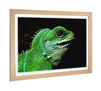 Big Box Art Framed Print of Iguana Lizard Design | Wall Art Picture | Home Decor for Kitchen, Living, Dining Room, Lounge, Bedroom, Hallway, Office, Oak, A2 / 24.5x18 Inch / 62x45cm
