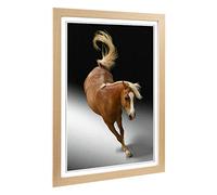 Big Box Art Framed Print of Jumping Horse 3 Design | Wall Art Picture | Home Decor for Kitchen, Living, Dining Room, Lounge, Bedroom, Hallway, Office, Oak, A2 / 24.5x18 Inch / 62x45cm