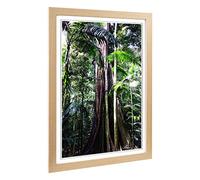 Big Box Art Framed Print of Jungle Rainforest (3) Design | Wall Art Picture | Home Decor for Kitchen, Living, Dining Room, Lounge, Bedroom, Hallway, Office, Oak, A2 / 24.5x18 Inch / 62x45cm