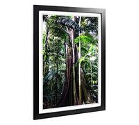 Big Box Art Framed Print of Jungle Rainforest (3) Design | Wall Art Picture | Home Decor for Kitchen, Living, Dining Room, Lounge, Bedroom, Hallway, Office, Black, A2 / 24.5x18 Inch / 62x45cm