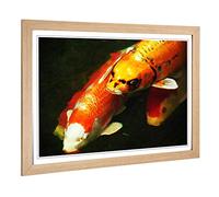 Big Box Art Framed Print of Koi Fish Design | Wall Art Picture | Home Decor for Kitchen, Living, Dining Room, Lounge, Bedroom, Hallway, Office, Oak, A2 / 24.5x18 Inch / 62x45cm